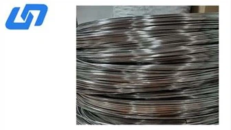 ลวดไททาเนียม Gr12